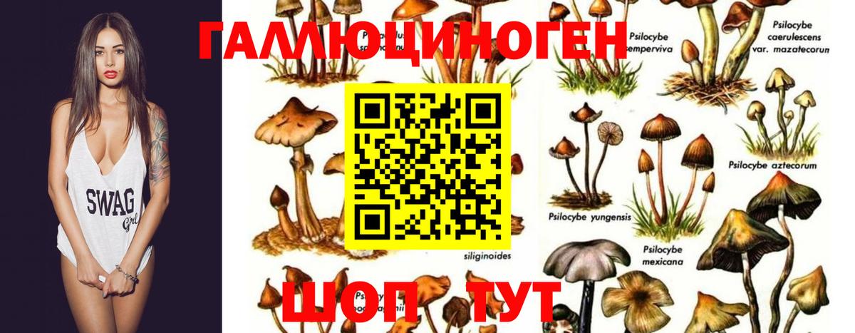 ГАШ  Вход с VPN  COCAIN  МАРИХУАНА  Ефремов  ГАШИШ  Меф кристаллы 